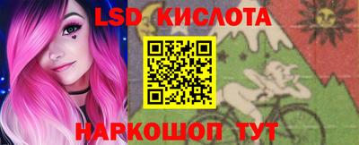 крисы Кунгур
