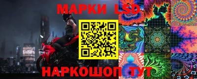крисы Кунгур
