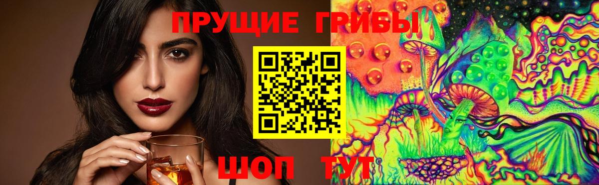Керчь  купить закладку  Вход с VPN  Галлюциногенные грибы Cubensis 